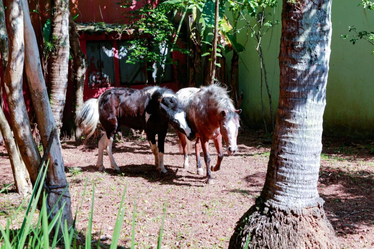 Indaiá Hotel 3*