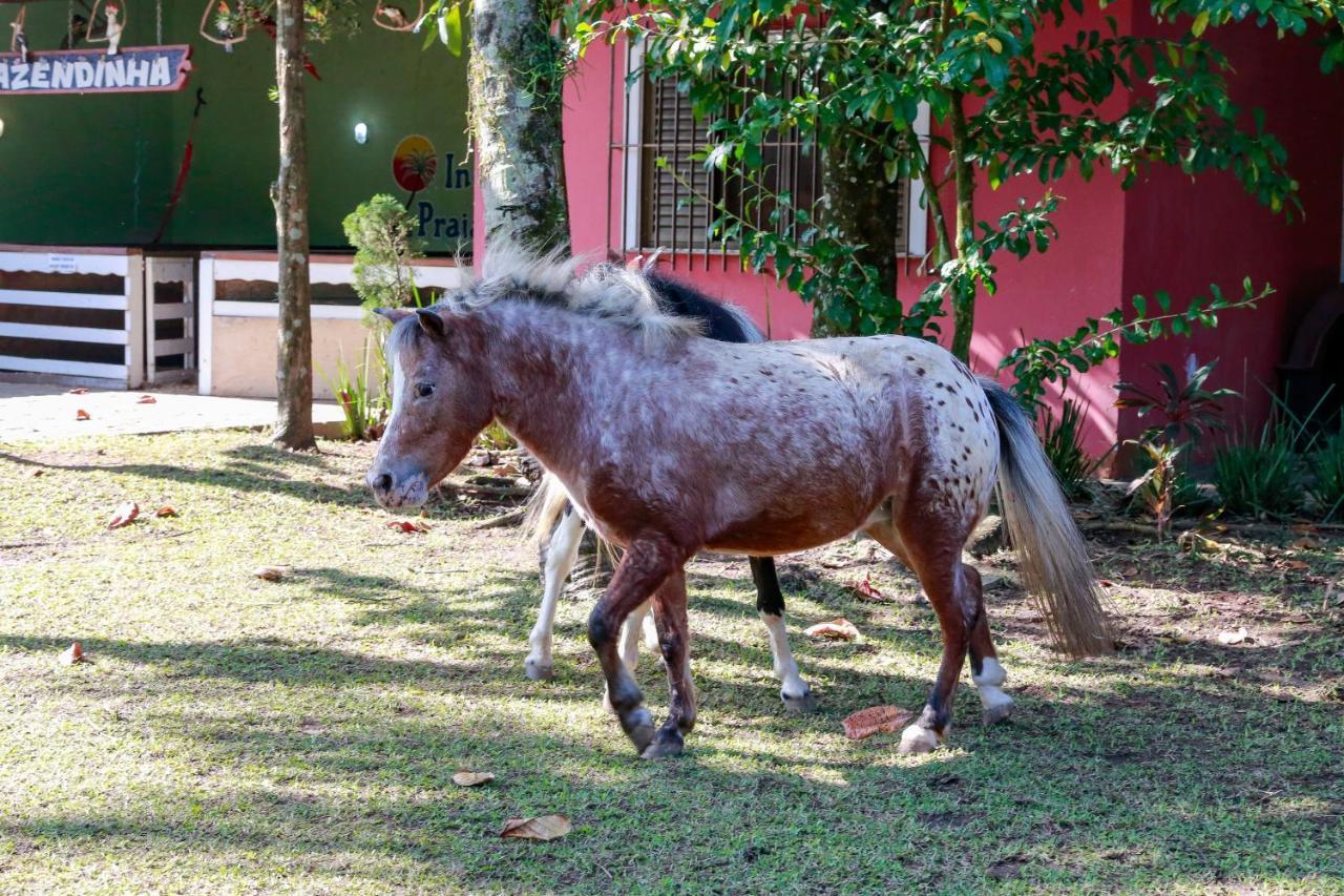 Indaiá Bertioga